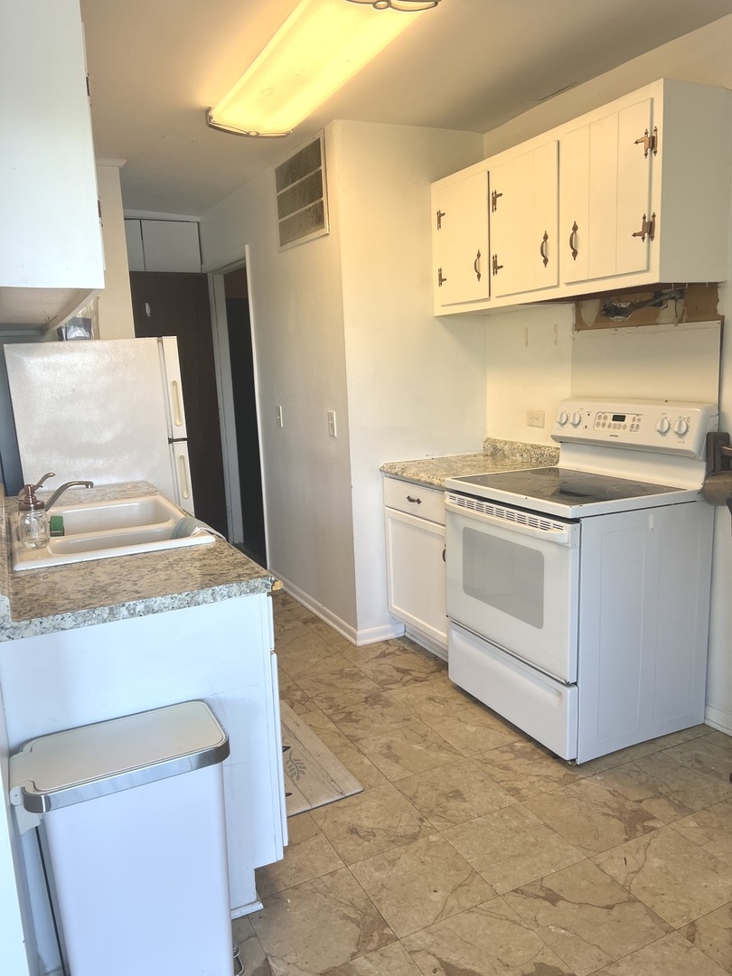 1601 Maple Terrace, Unit 3B Lisle, IL 60532 - Photo 3 of 9 a kitchen with a stove and a sink