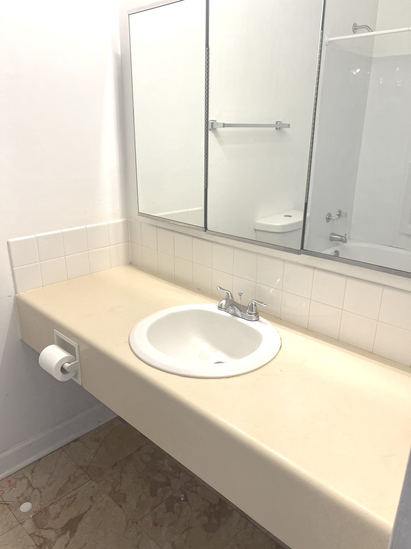 1601 Maple Terrace, Unit 3B Lisle, IL 60532 - Photo 4 of 9 a bathroom with a sink and a mirror