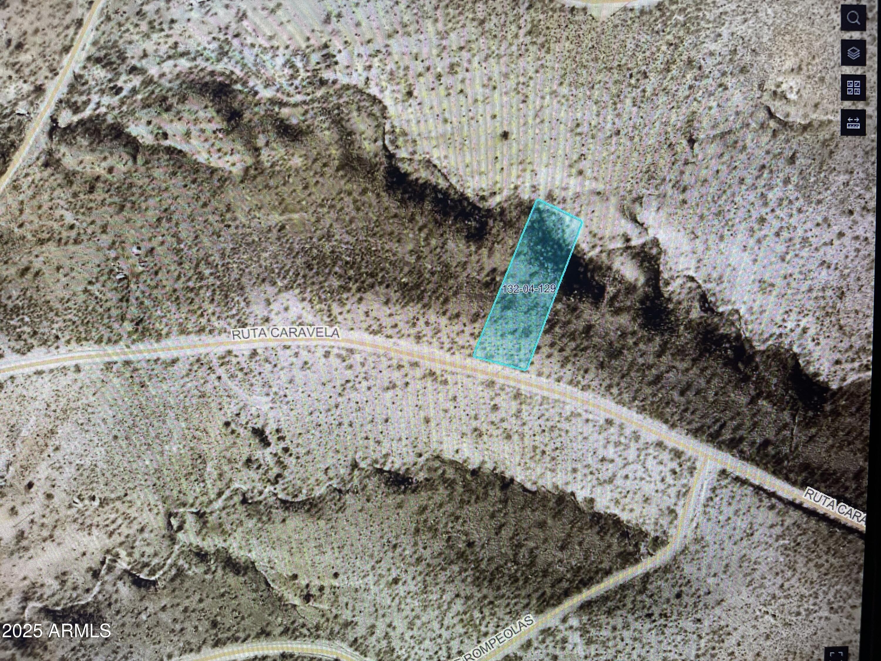 1742 Ruta Caravela, Unit 10 Rio Rico, AZ 85648 - Photo 2 of 8 a view of water plant in middle of the back