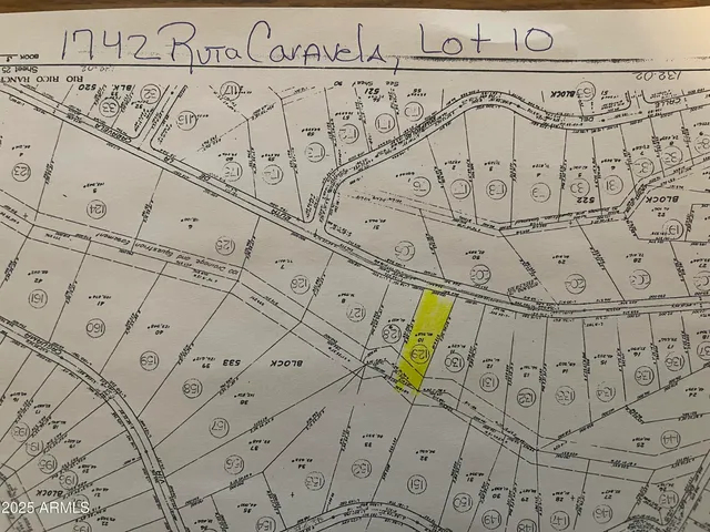 a view of a dry yard