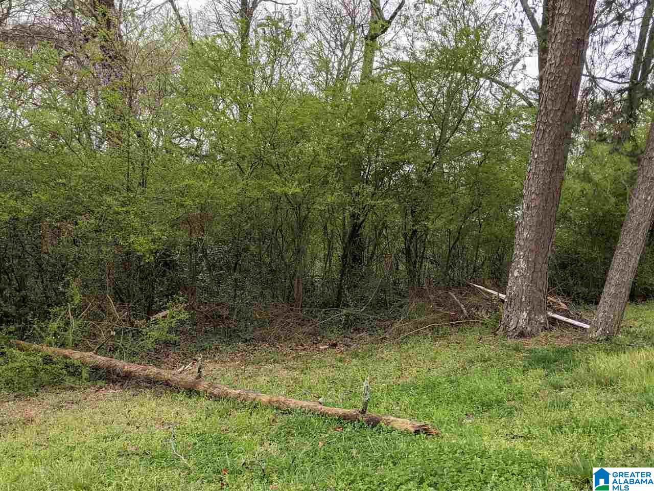 515 Sunhill Road Northwest, Unit 16 Birmingham, AL 35215 - Photo 4 of 7
