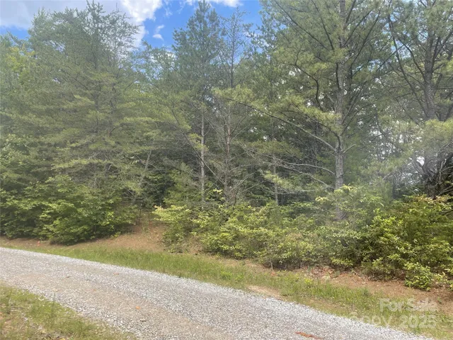 a view of a yard with an trees