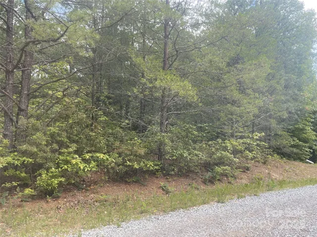 a view of a yard with a tree