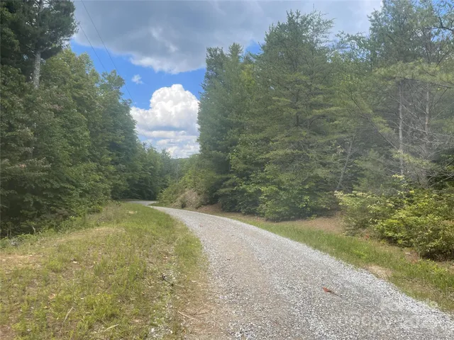 a black and white photo of a house