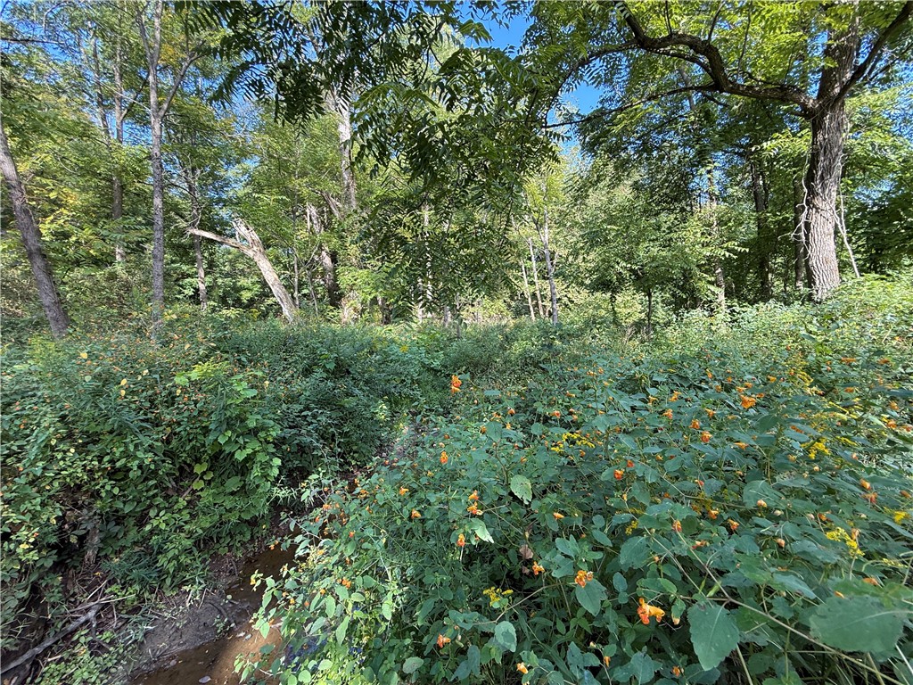 90 State Route Genoa, NY 13071 - Photo 11 of 29