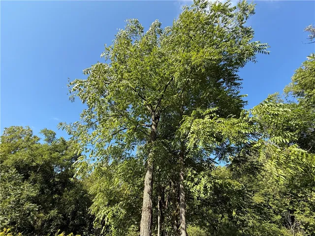 $49,500 | 90 State Route, Genoa, NY 13071