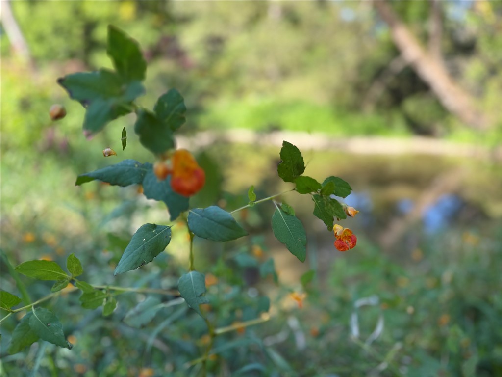 90 State Route Genoa, NY 13071 - Photo 24 of 29