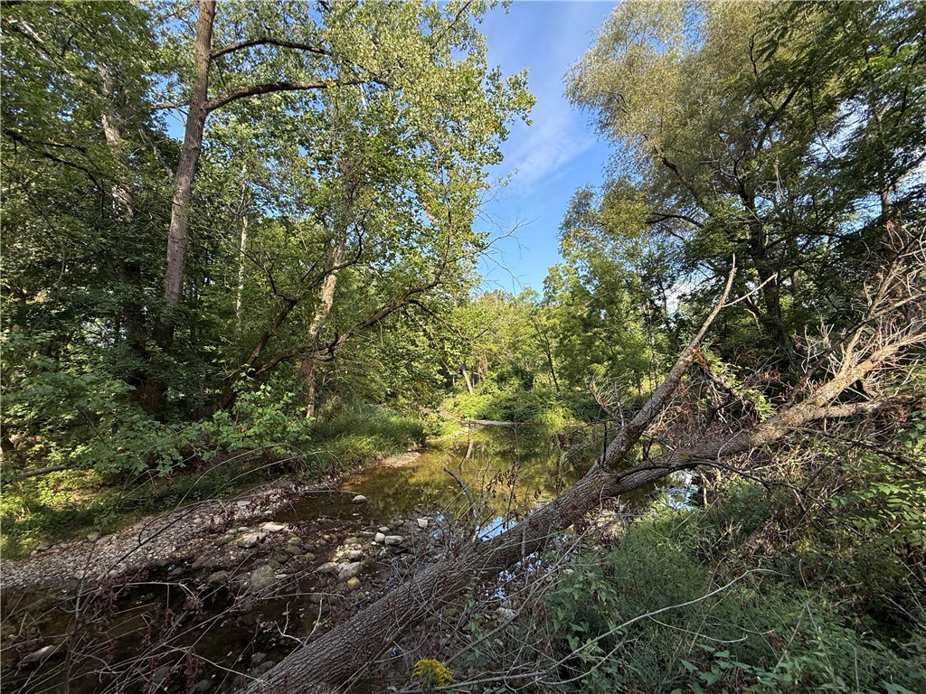 90 State Route Genoa, NY 13071 - Photo 3 of 29