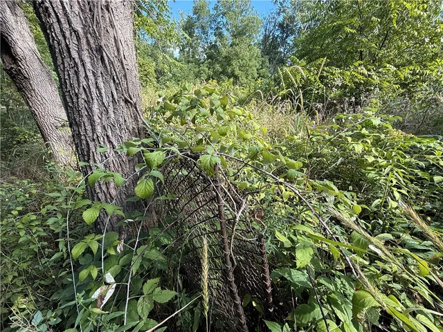 $49,500 | 90 State Route, Genoa, NY 13071