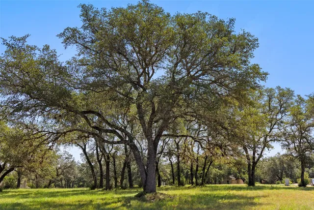 a view of an ocean with a yard