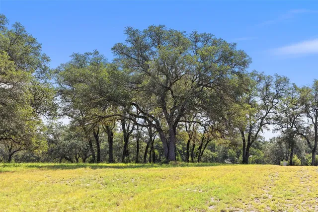 a view of a field with trees in the background
