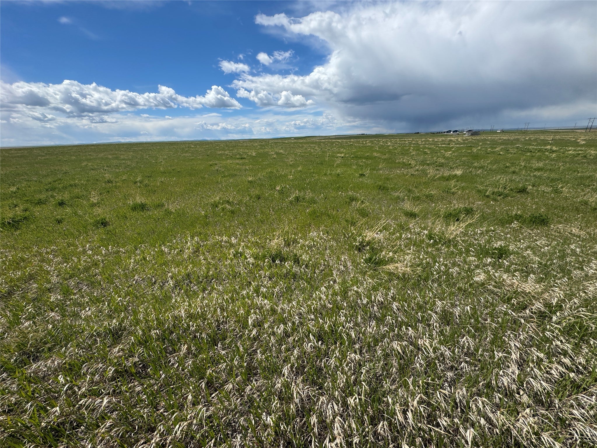 30 Red Coulee Road Belt, MT 59412 - Photo 6 of 16 Gallery Image 6