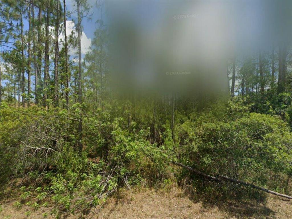 321 Urbana Street Lehigh Acres, FL 33972 - Photo 1 of 1