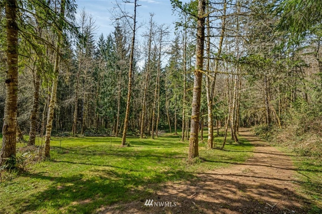 118 Blanchard Road Centralia, WA 98531 - Photo 7 of 40 Gallery Image 7