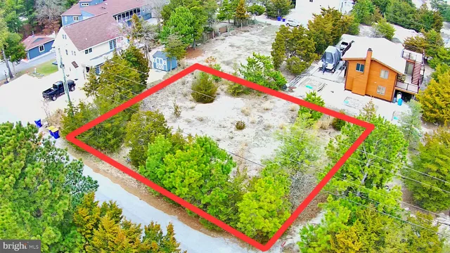 a view of a garden with a lot of flower plants