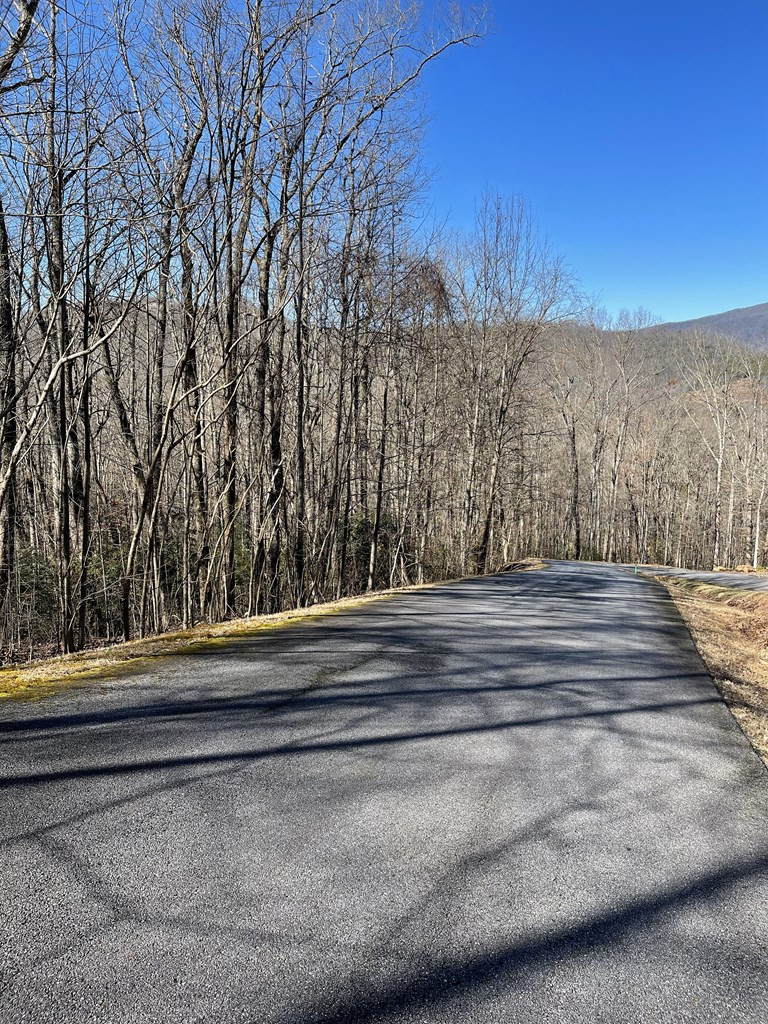 Lot 34 Ash Branch Road Hayesville, NC 28904 - Photo 6 of 6