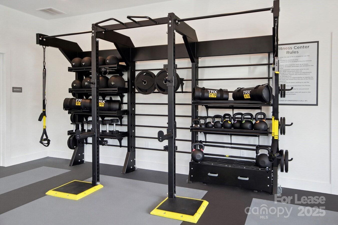 13511 Montoy Way, Unit A2 Charlotte, NC 28273 - Photo 11 of 34 a view of gym equipment with racks on the wall