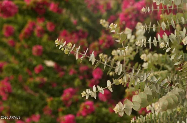 $2,038 | 1369 South Monterey Street, Gilbert, AZ 85233