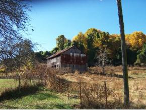 335 Bulldog Miller Road Jonesborough, TN 37659 - Photo 5 of 6 Photo 5