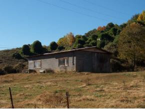 335 Bulldog Miller Road Jonesborough, TN 37659 - Photo 6 of 6 Photo 6