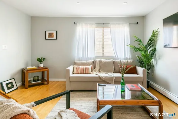a living room with furniture and a potted plant