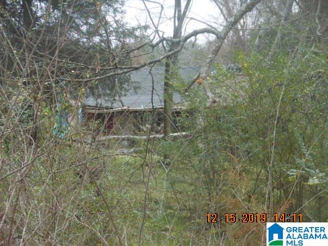 5401 Loop Road Birmingham, AL 35224 - Photo 4 of 7