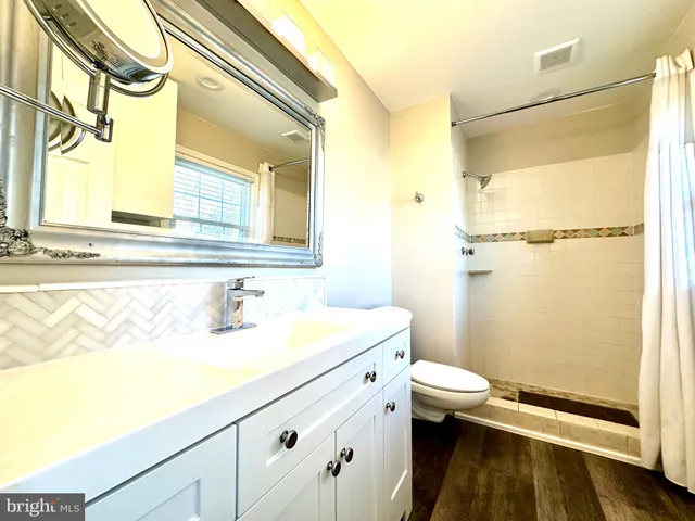 a bathroom with a sink a toilet and a shower