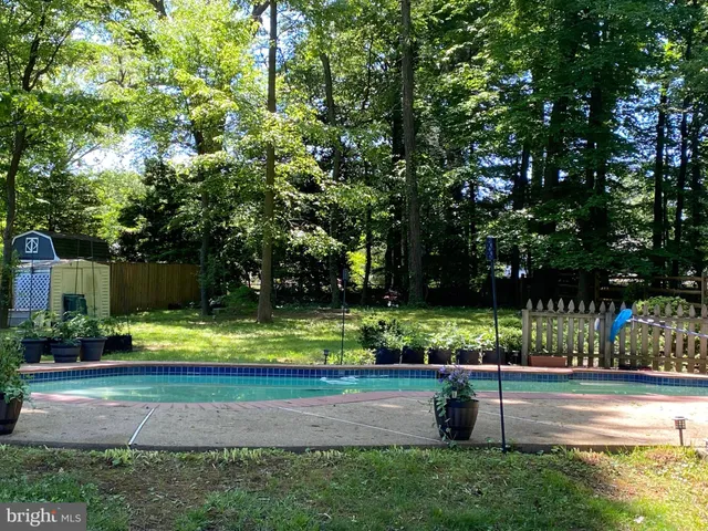 a view of swimming pool with lawn chairs and plants