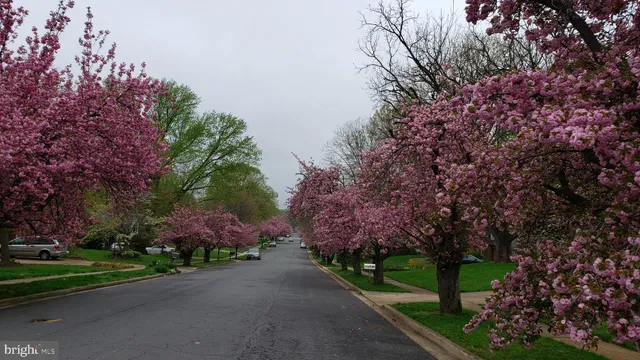 a view of an ocean and beach
