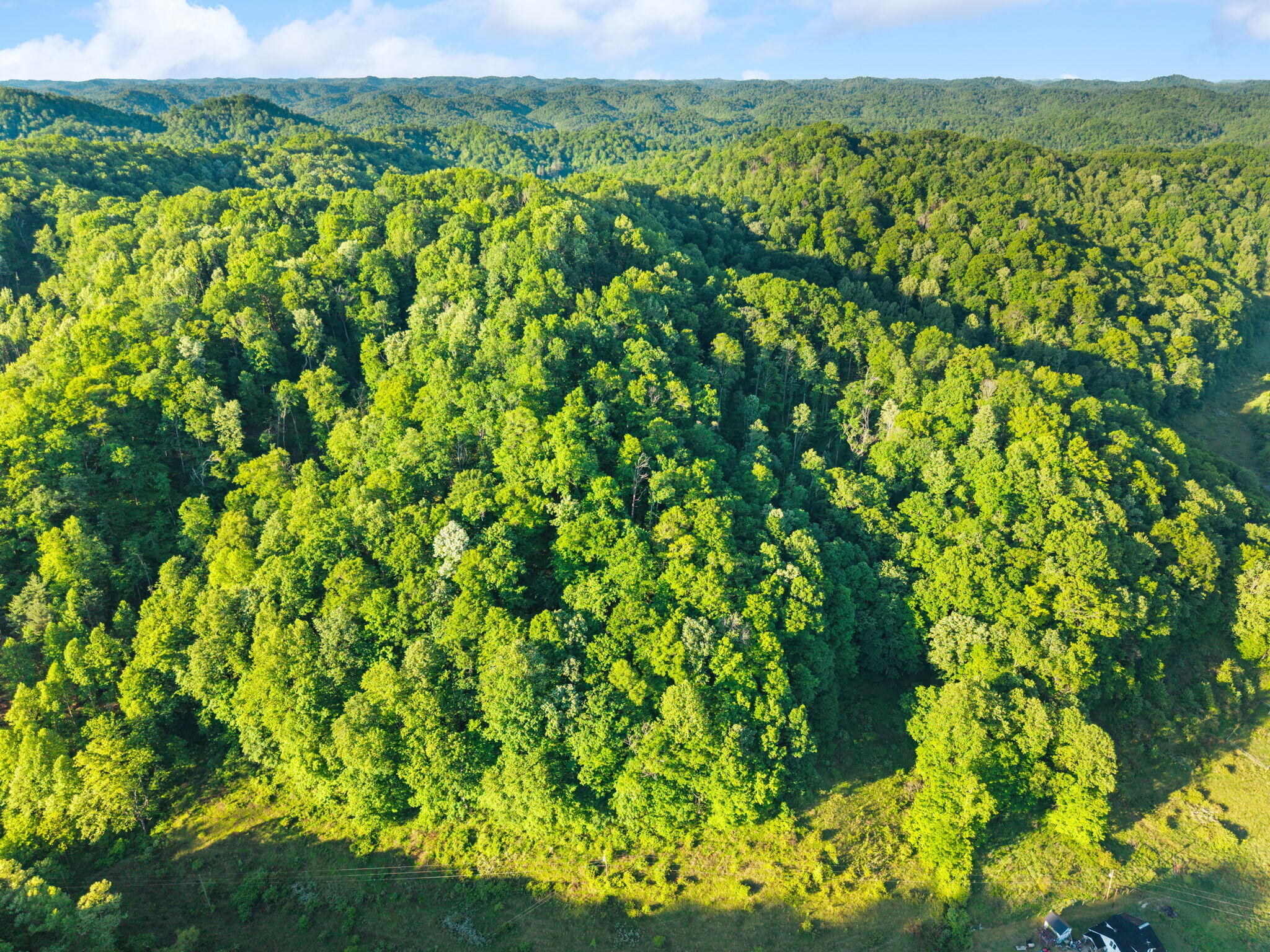 139 Burcham Fork Road Jackson, KY 41339 - Photo 13 of 23 16-web-or-mls-DJI_20260514075721_0045_D