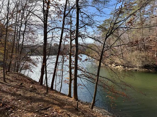 $150,000 | Lot 9 Tiki Terrace, Goodview, VA 24095