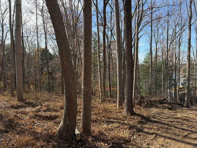 $150,000 | Lot 9 Tiki Terrace, Goodview, VA 24095