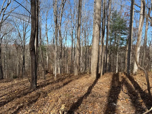 $150,000 | Lot 9 Tiki Terrace, Goodview, VA 24095