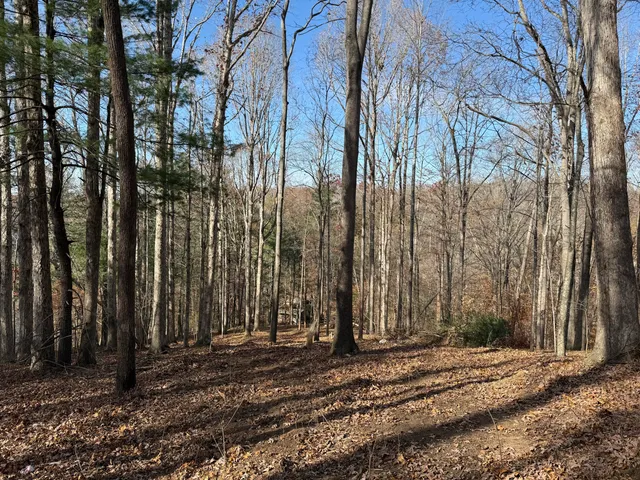 $150,000 | Lot 9 Tiki Terrace, Goodview, VA 24095