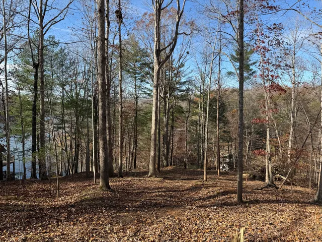 $150,000 | Lot 9 Tiki Terrace, Goodview, VA 24095