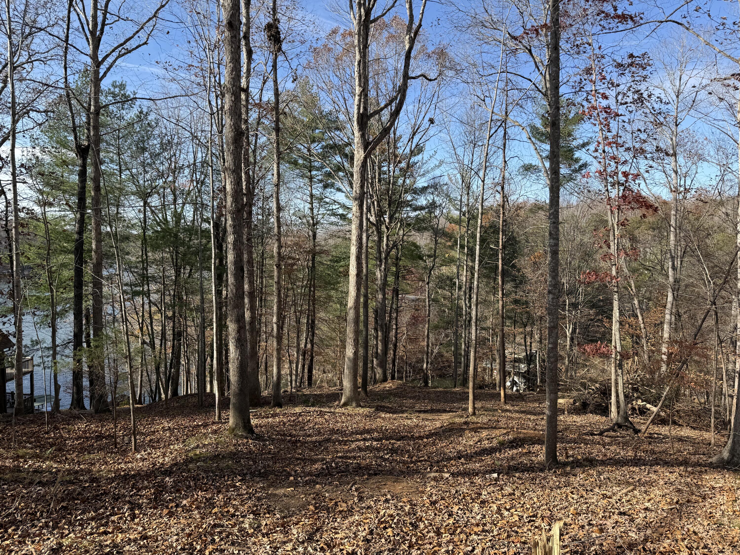 Lot 9 Tiki Terrace Goodview, VA 24095 - Photo 14 of 44 a backyard of a house with lots of trees