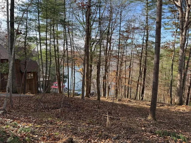 $150,000 | Lot 9 Tiki Terrace, Goodview, VA 24095