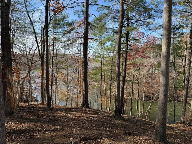 $150,000 | Lot 9 Tiki Terrace, Goodview, VA 24095