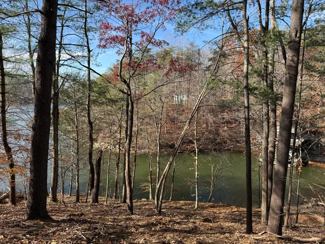 $150,000 | Lot 9 Tiki Terrace, Goodview, VA 24095