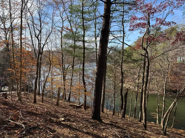 $150,000 | Lot 9 Tiki Terrace, Goodview, VA 24095