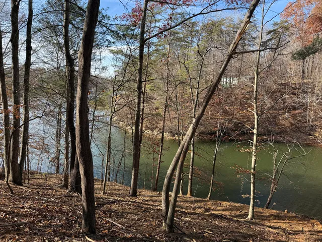 $150,000 | Lot 9 Tiki Terrace, Goodview, VA 24095