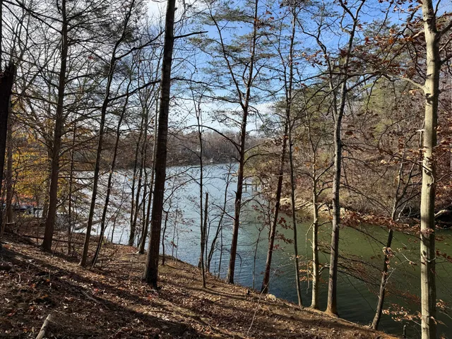 $150,000 | Lot 9 Tiki Terrace, Goodview, VA 24095