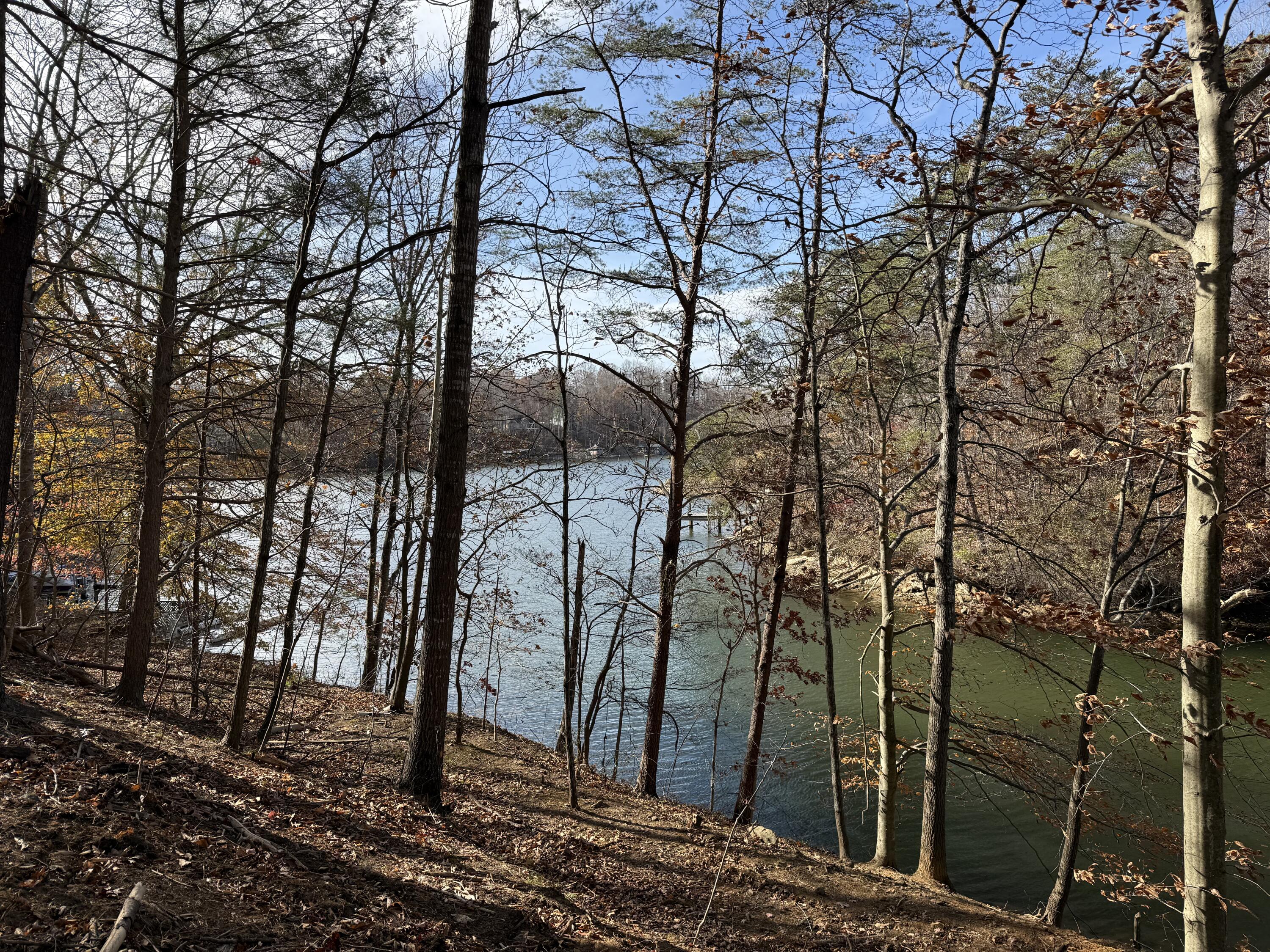 Lot 9 Tiki Terrace Goodview, VA 24095 - Photo 20 of 44 a backyard of a house with lots of green space