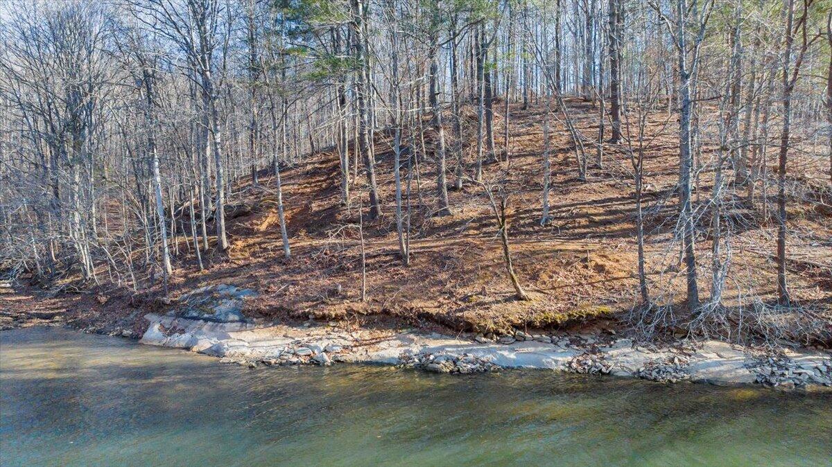 Lot 9 Tiki Terrace Goodview, VA 24095 - Photo 2 of 44 15-DJI_20260119143834_0017_D_MIB