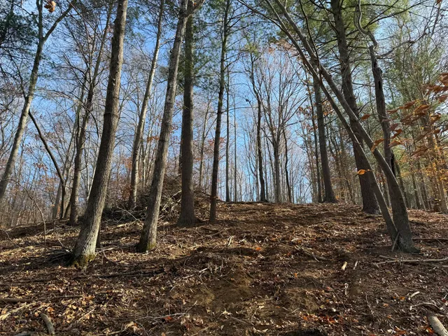 $150,000 | Lot 9 Tiki Terrace, Goodview, VA 24095