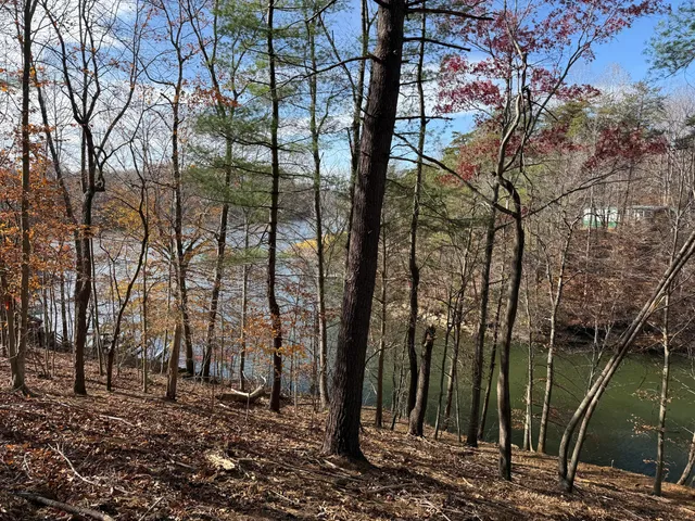 $150,000 | Lot 9 Tiki Terrace, Goodview, VA 24095