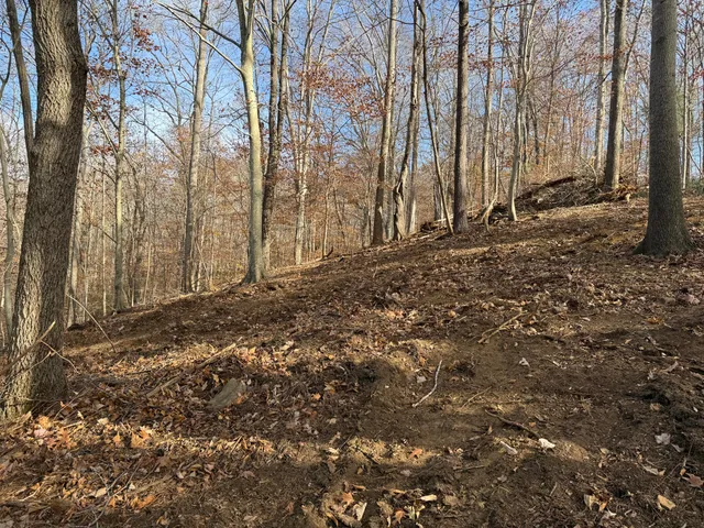 $150,000 | Lot 9 Tiki Terrace, Goodview, VA 24095