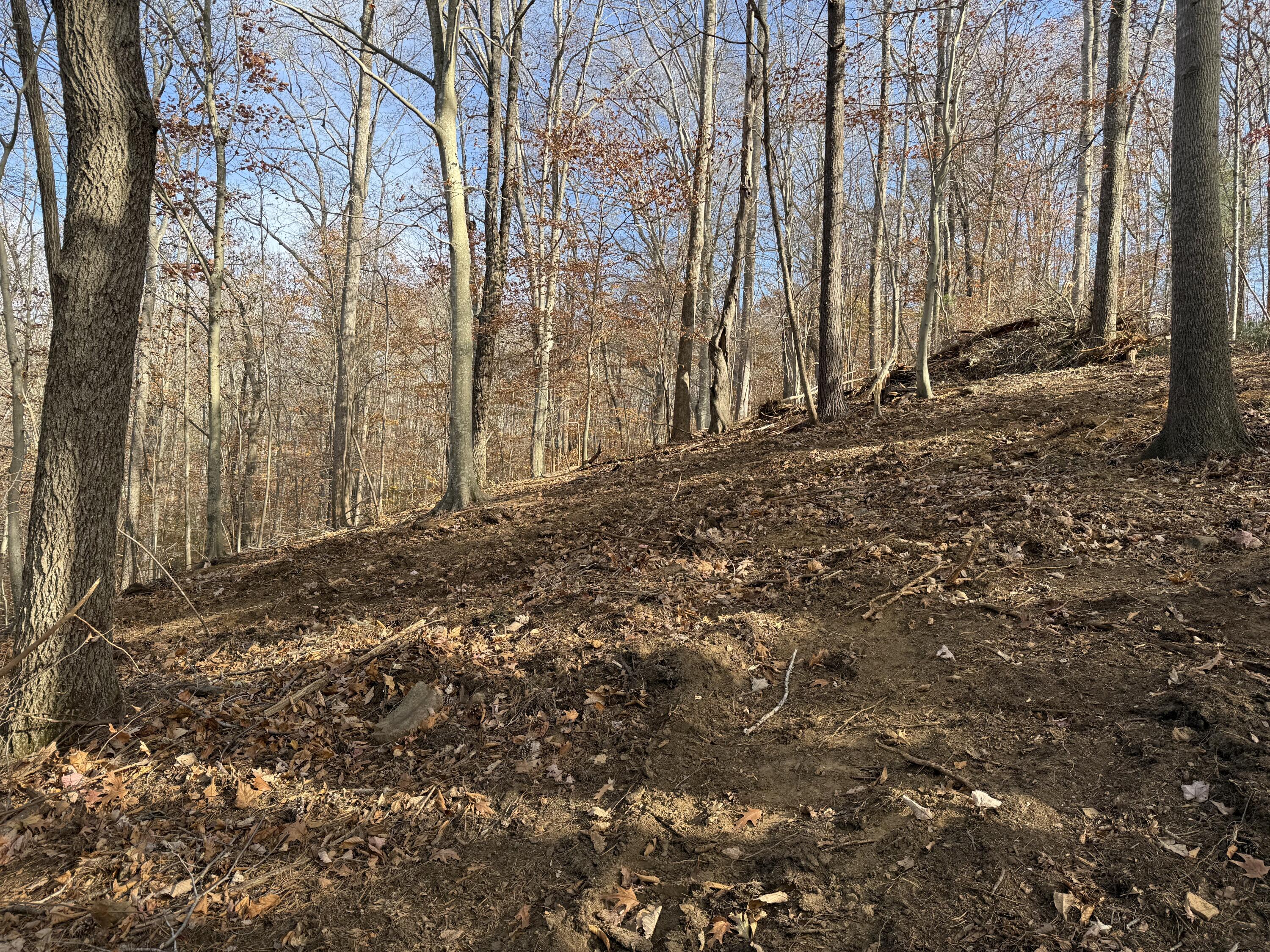 Lot 9 Tiki Terrace Goodview, VA 24095 - Photo 23 of 44 a view of a backyard of the house