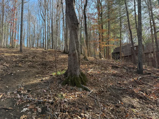 $150,000 | Lot 9 Tiki Terrace, Goodview, VA 24095