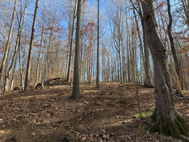 $150,000 | Lot 9 Tiki Terrace, Goodview, VA 24095